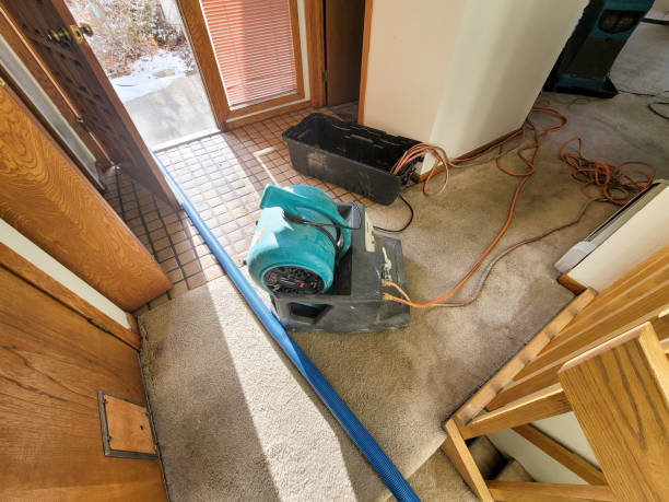 Best Water damage restoration mold remediation  in Rancho Laveras, CA