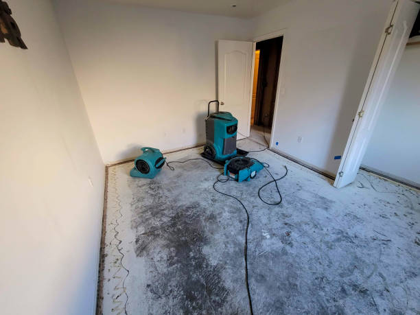 Best 24-hour water damage restoration  in Rancho Laveras, CA