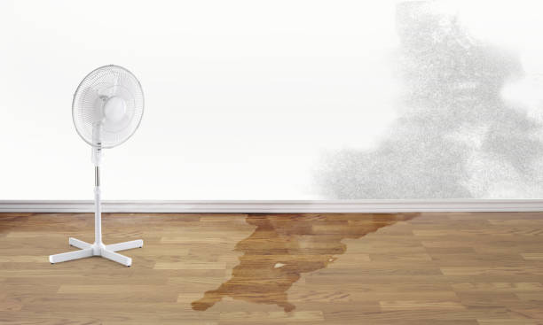 Water damage restoration mold remediation in CA