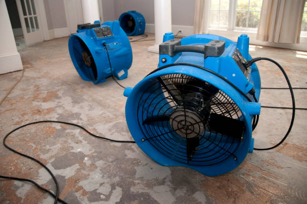 Best Fire Damage Restoration  in Rancho Laveras, CA