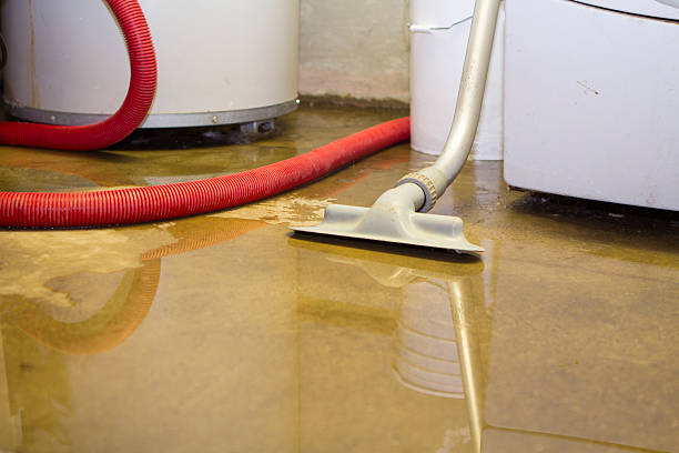 Best Ceiling water damage repair  in Rancho Laveras, CA