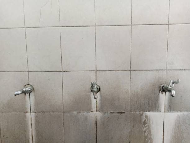 Best 24/7 water damage repair  in Rancho Laveras, CA
