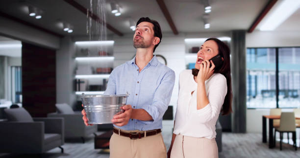 Best Water damage contractors near me  in Rancho Laveras, CA