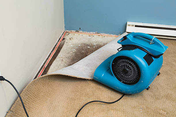  Rancho Laveras, CA Water damage restoration Pros